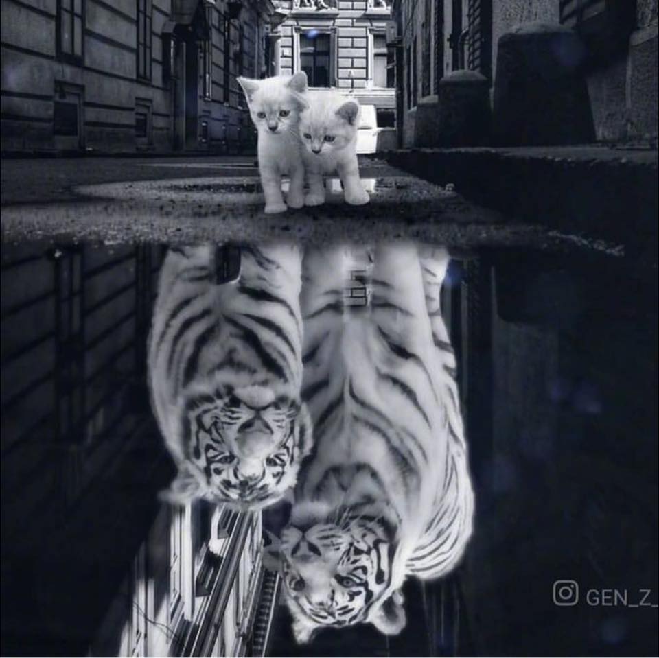 劉可潔