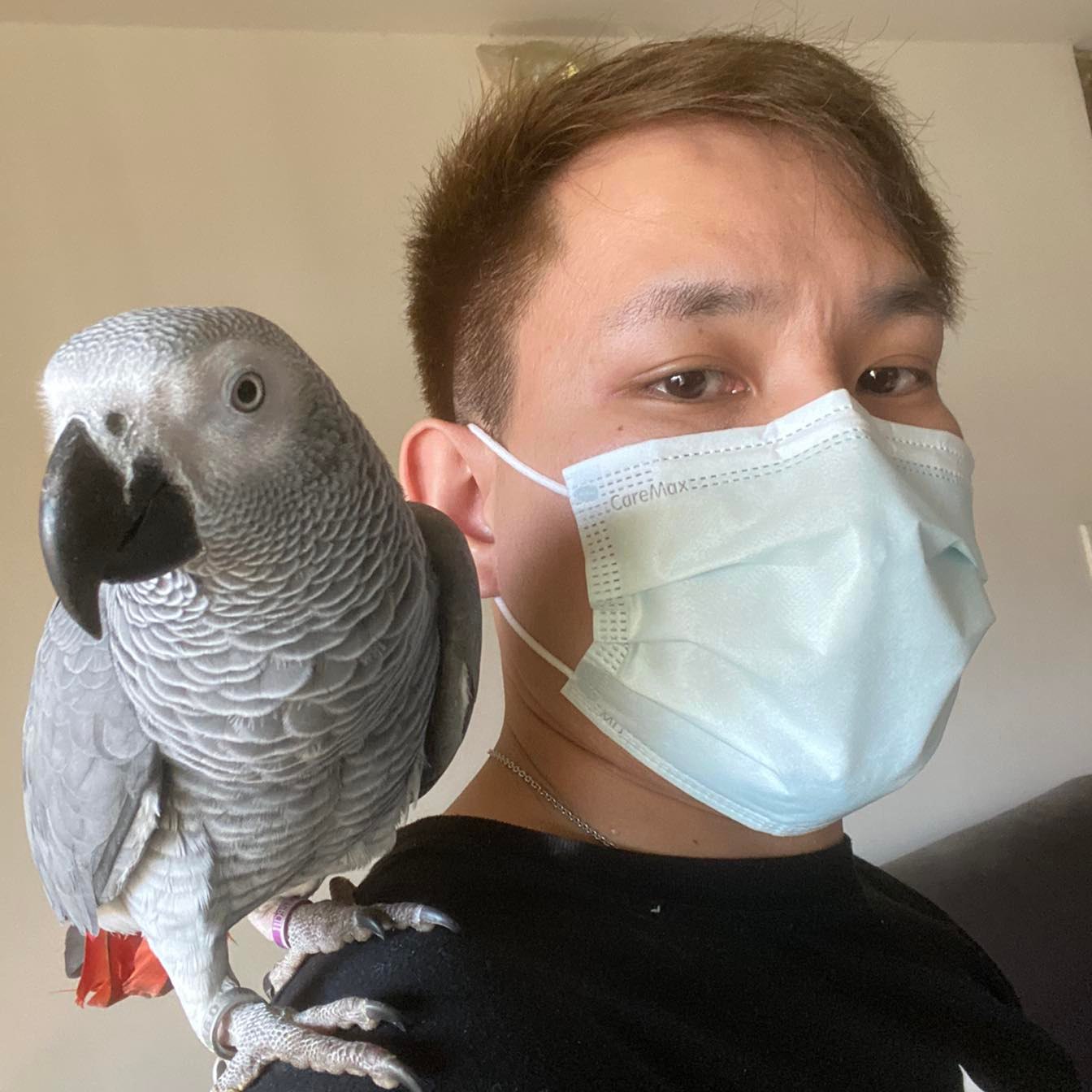 魏文義